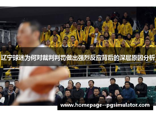 辽宁球迷为何对裁判判罚做出强烈反应背后的深层原因分析