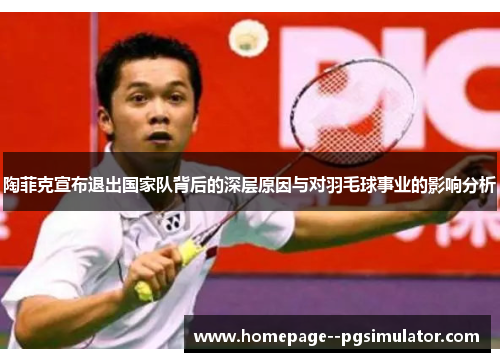 陶菲克宣布退出国家队背后的深层原因与对羽毛球事业的影响分析