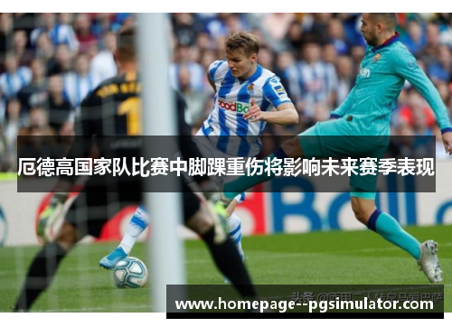 厄德高国家队比赛中脚踝重伤将影响未来赛季表现